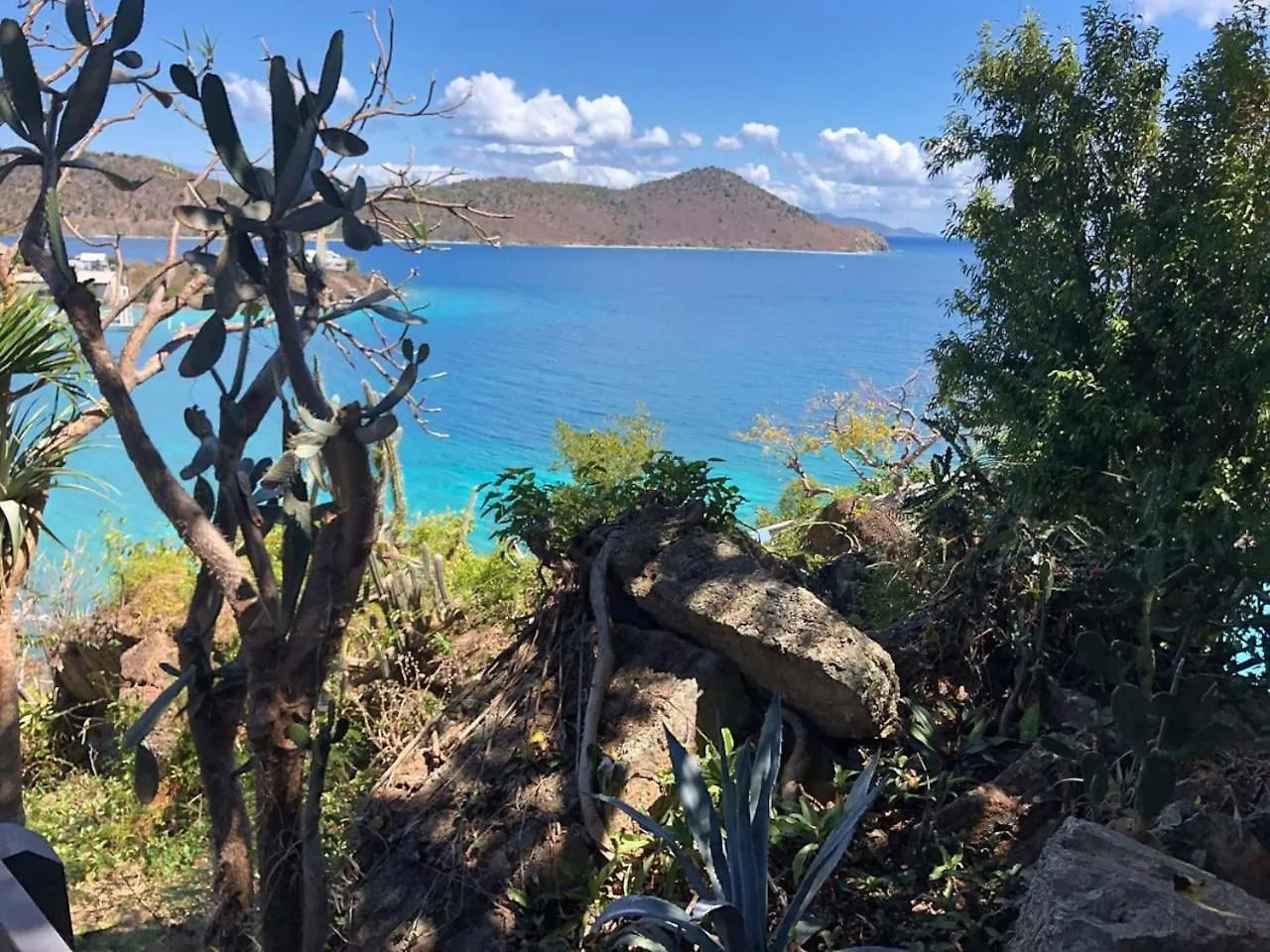 Elevate Usvi Completely Remodelled 2025! Apartment East End   East End (Saint Thomas)
